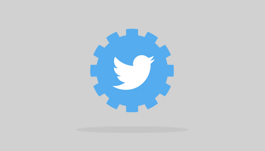 Twitter bug developer DM - API