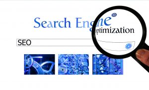 organic search engine optimization