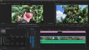 Adobe Premiere Pro