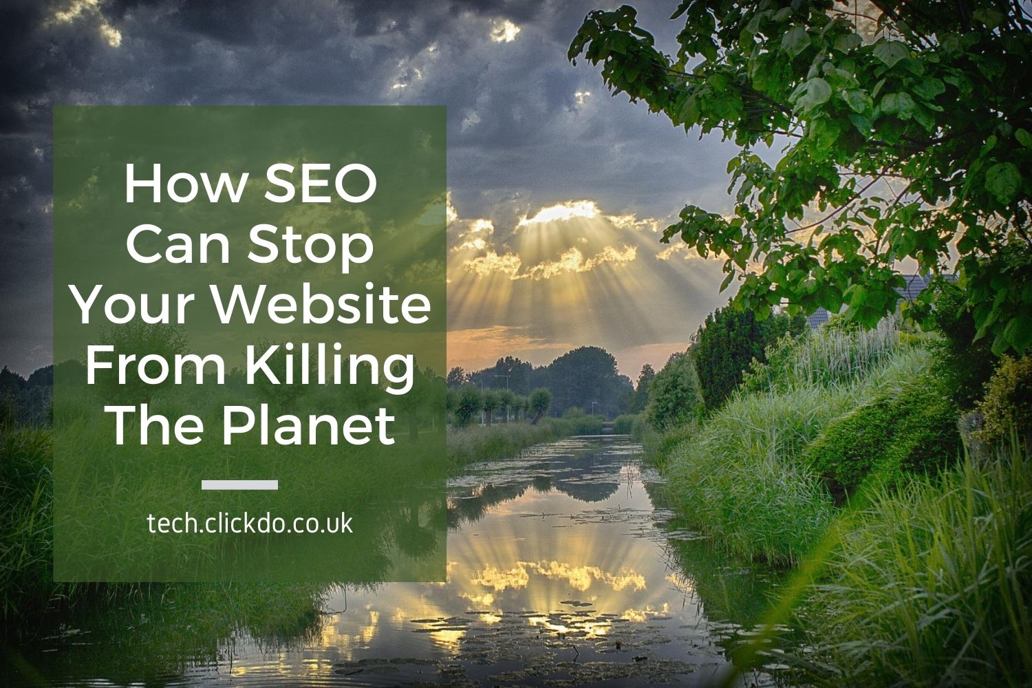 News Release: How SEO can stop your website from killing the planet – Sustainability Tips