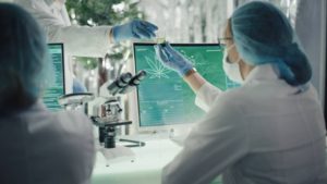 Technological-Advancements-in-Hemp-Industries