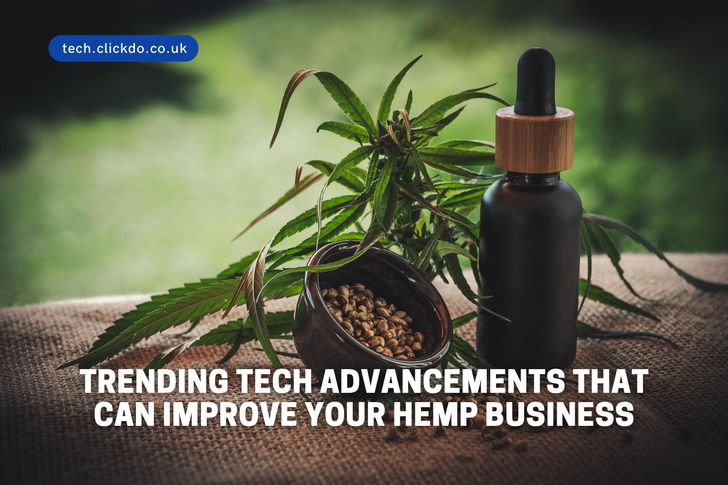 Top Trending Tech Advancements that can improve your Hemp Business
